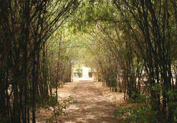Indroda Nature Park